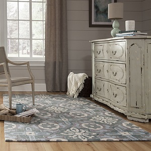Transitional Rugs Roomshot